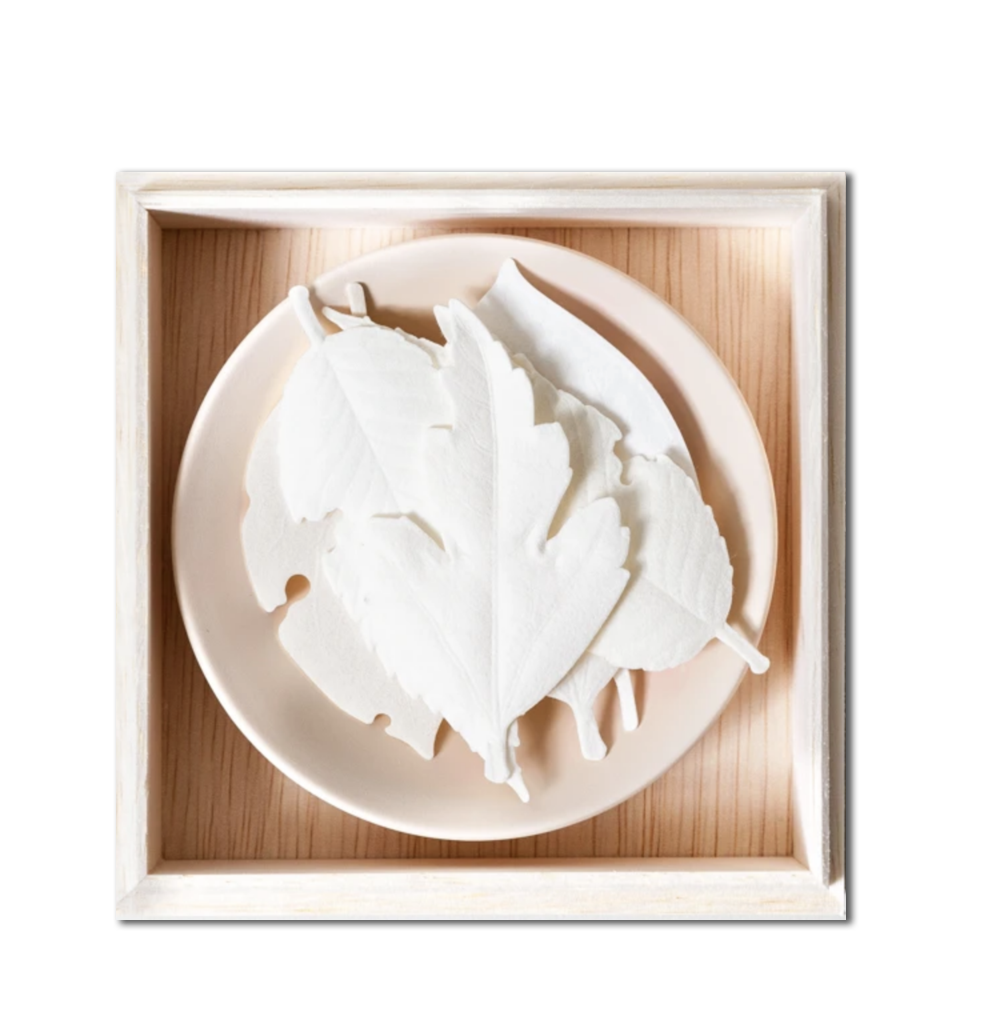 White Paper Incense + Ceramic Burn Dish