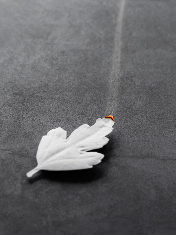White Paper Incense + Ceramic Burn Dish
