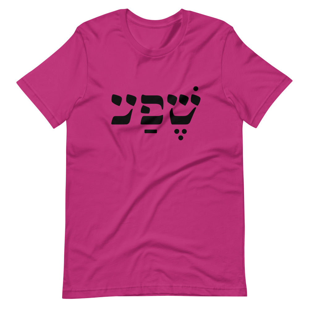 Abundance (in Hebrew) Unisex T-Shirt